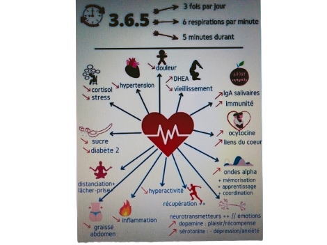 Réflexologie, thérapies psychocorporelles et soins énergétiques à Aix-les-Bains proche de Chambéry !